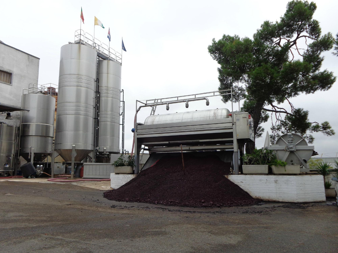 Cantina Albea winery and museum景点图片