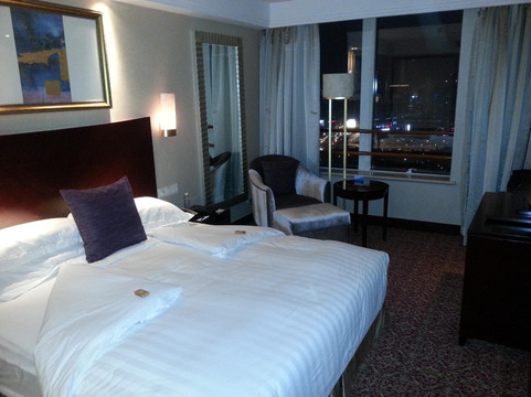 上海新世界丽笙大酒店主图