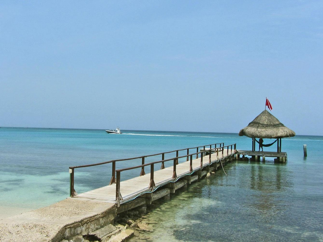 Uncover Colombia-波哥大必去景点