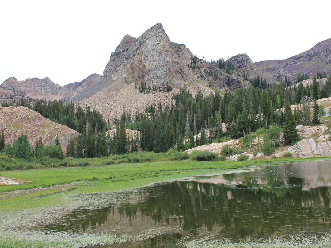 大三叶杨峡谷-盐湖城必去景点