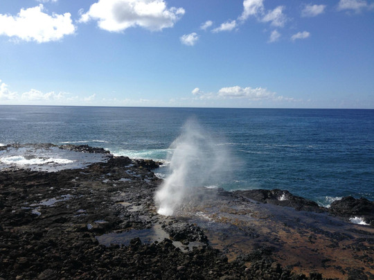 玻利尼西亚探险之旅-火奴鲁鲁必去景点