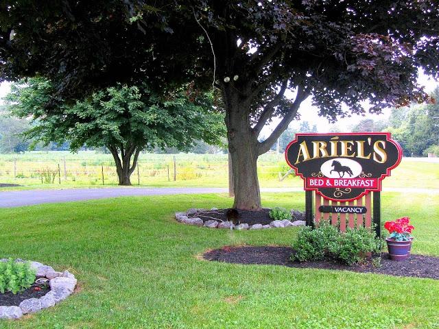 Aríel's Bed & Breakfast-客卧