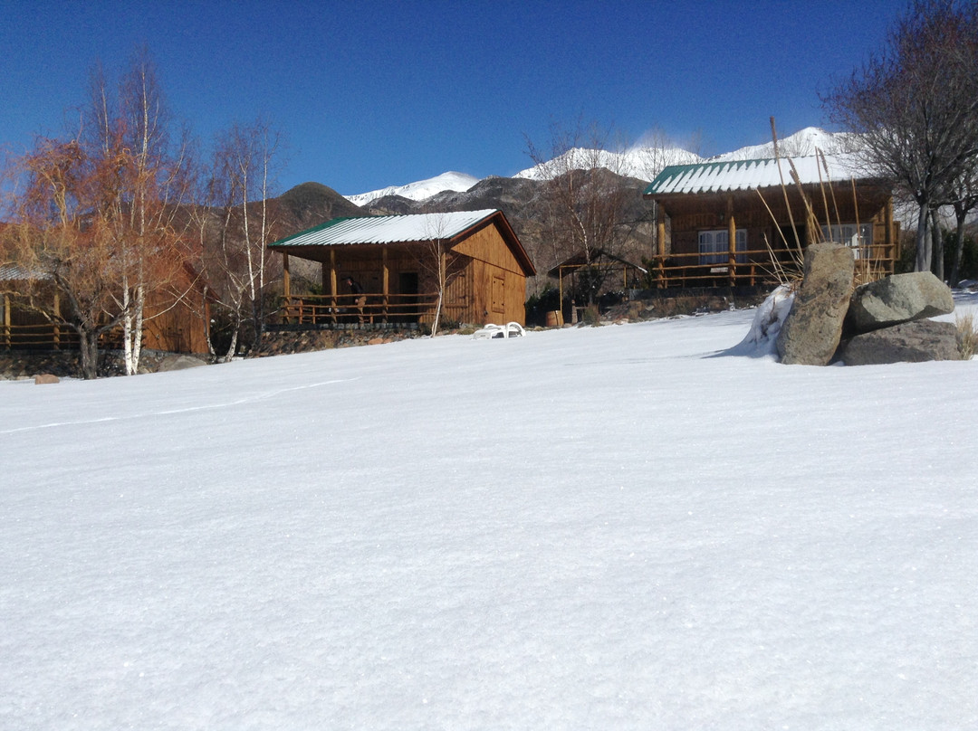 Alto Potrerillos主图