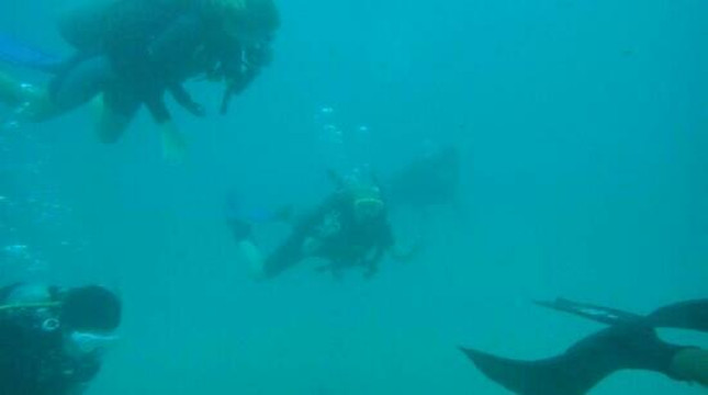 Crystal Divers-沙努尔必去景点