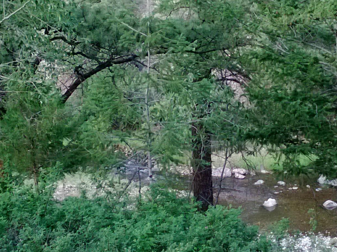 Arkansas River Rim Campground