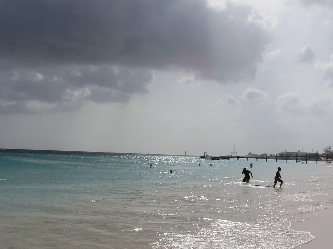 Carson's Taxi & Tour Service-基督城必去景点