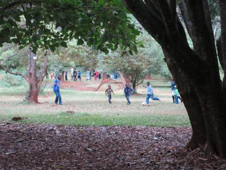 Nairobi Arboretum-内罗毕必去景点