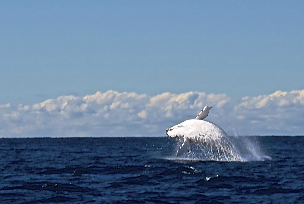 Getaway Sailing on the Gold Coast-Runaway Bay必去景点