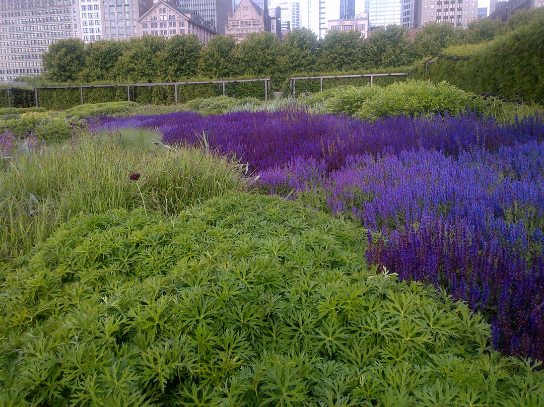 千禧公园-芝加哥必去景点