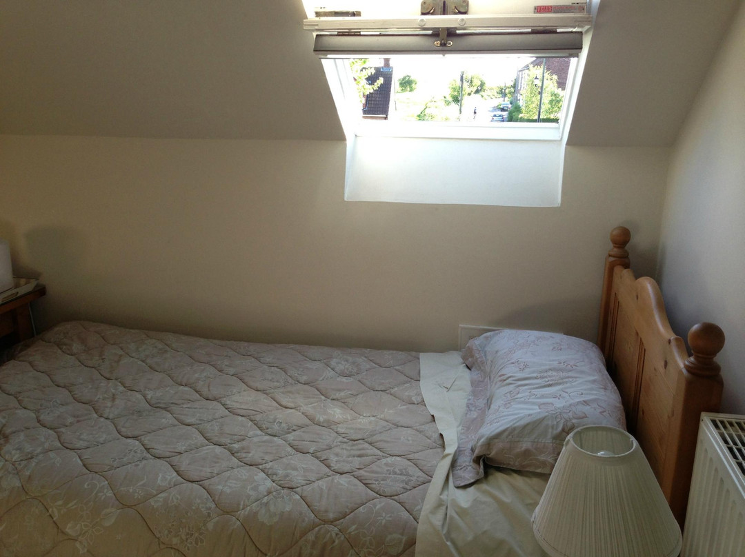 White Swan Inn主图