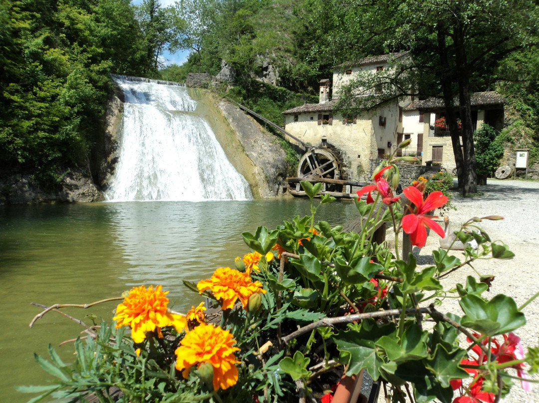 Prosecco Tour Italy by Chiara Wine Tour景点图片