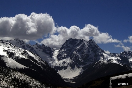 白马雪山国家级自然保护区景点图片