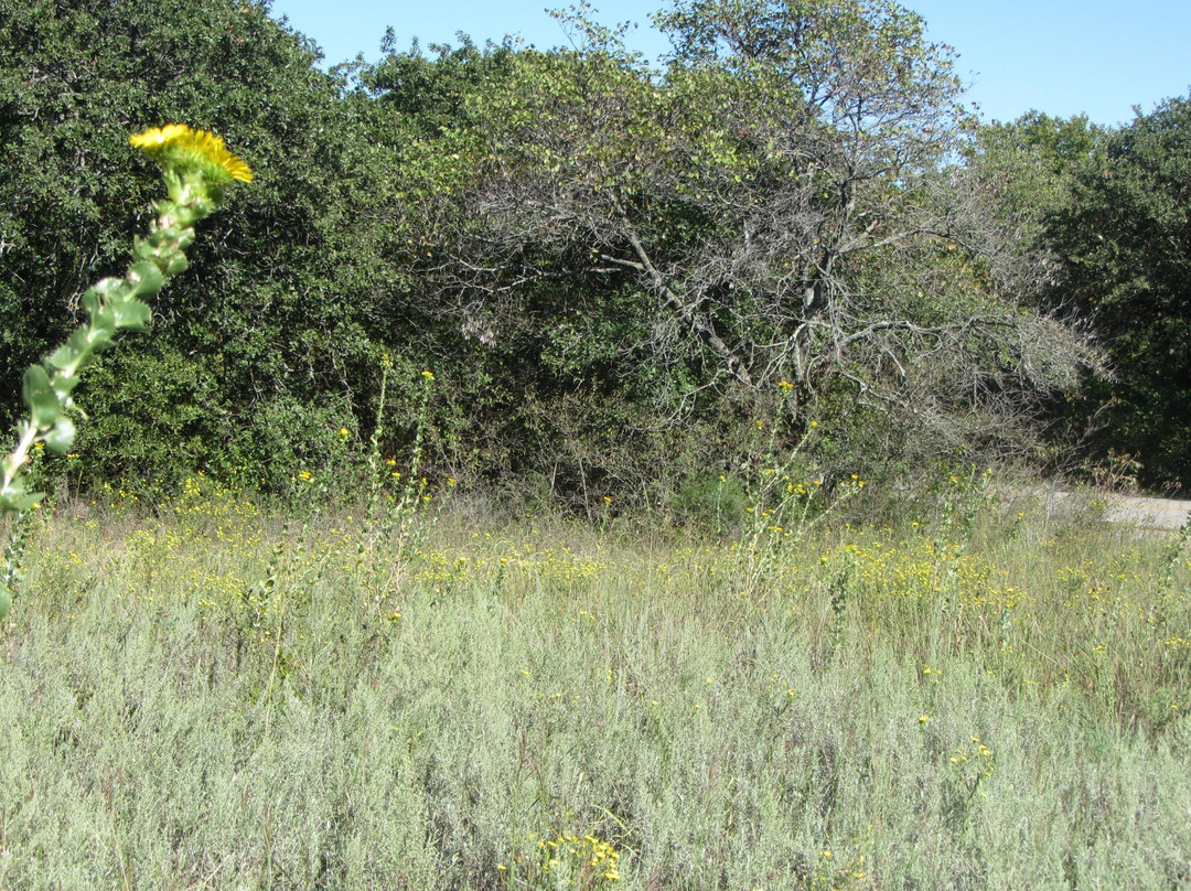 Arcadia Lake-埃德蒙必去景点
