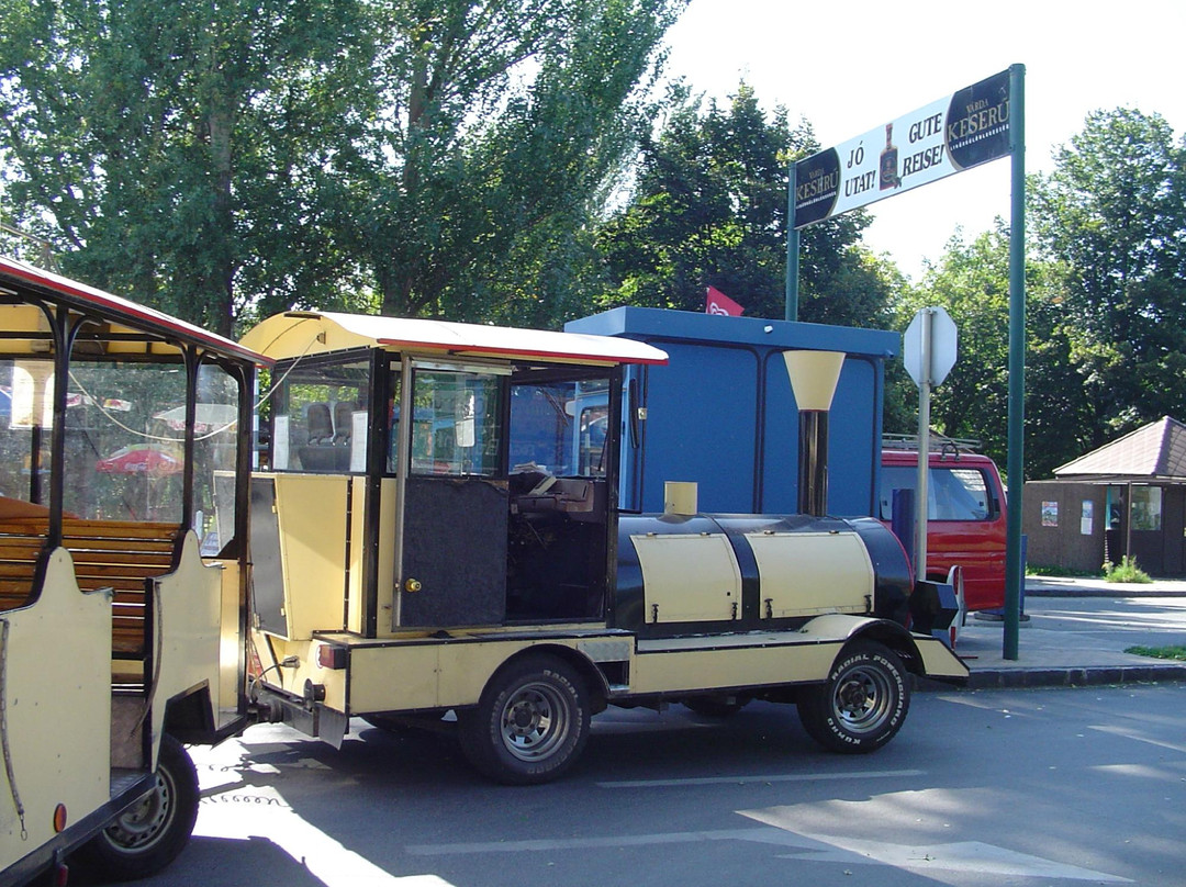 Lokomotiv Kisvonat / Road Train Tihany-蒂豪尼必去景点