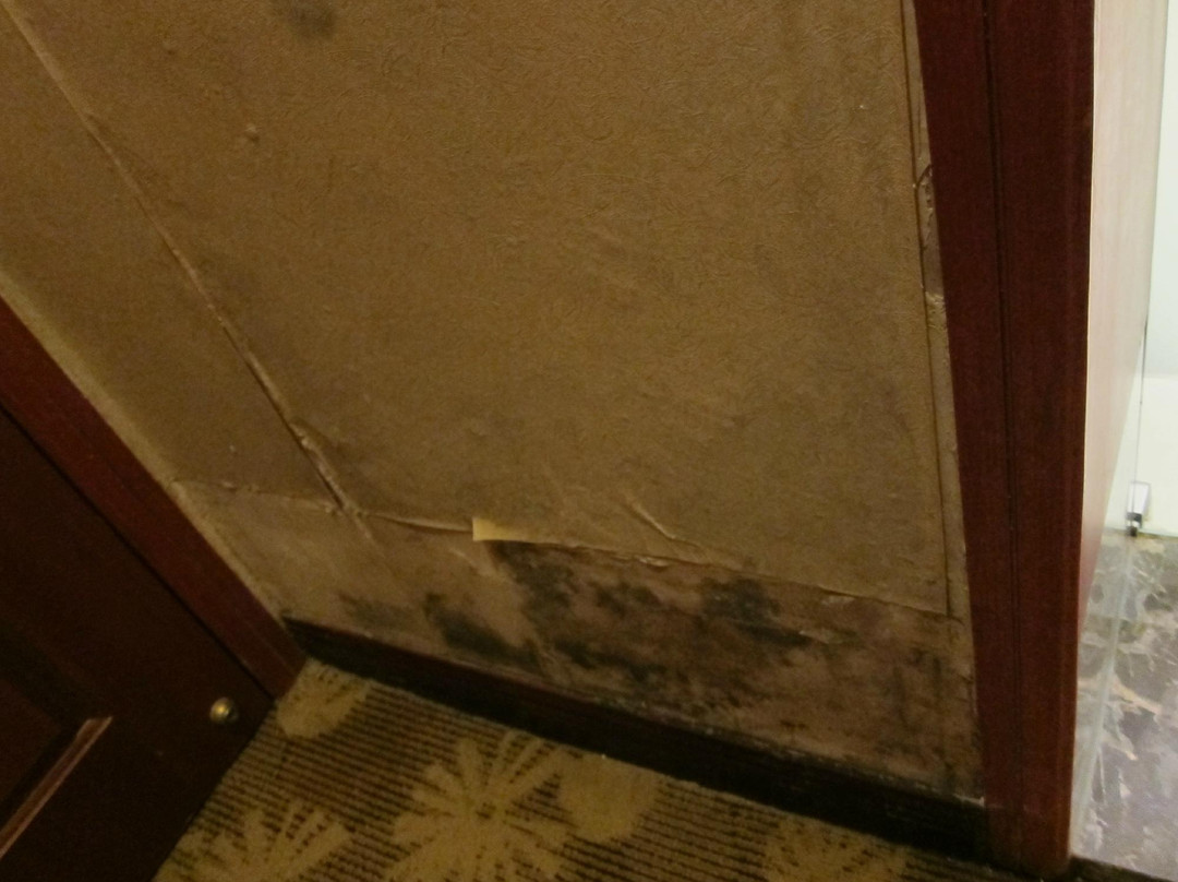 西羌家园酒店主图