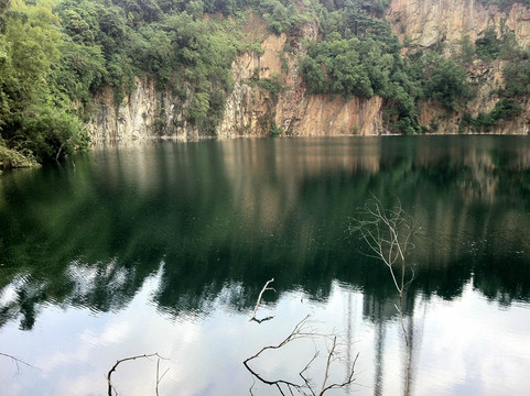 武吉知马自然保护区-新加坡必去景点