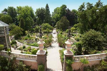 Orto Botanico 1545-帕多瓦必去景点