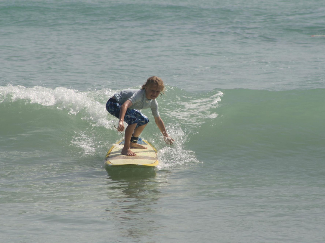 Bodie's School of Surf景点图片