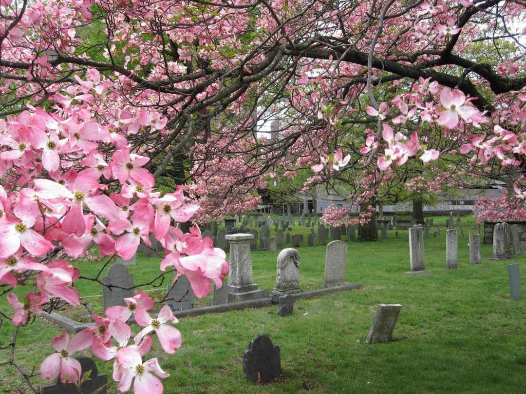 Hancock Cemetery-昆西必去景点