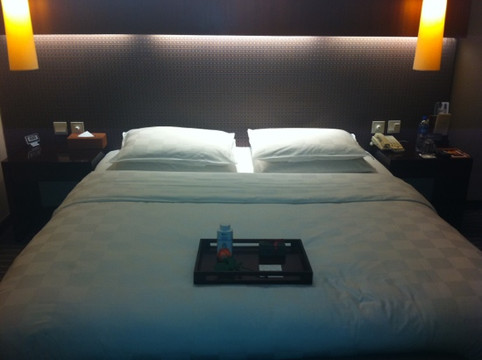 西安志诚丽柏酒店（雁塔区科技路地铁站店）主图