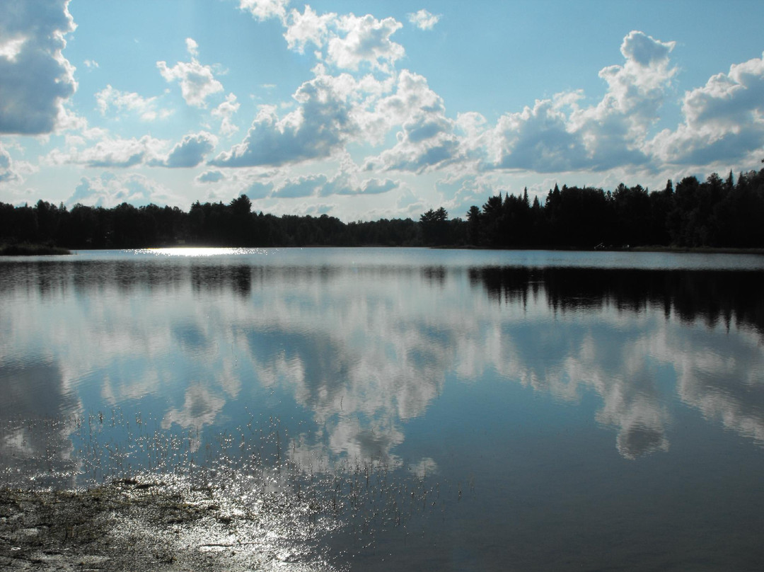 Le Provincialart主图