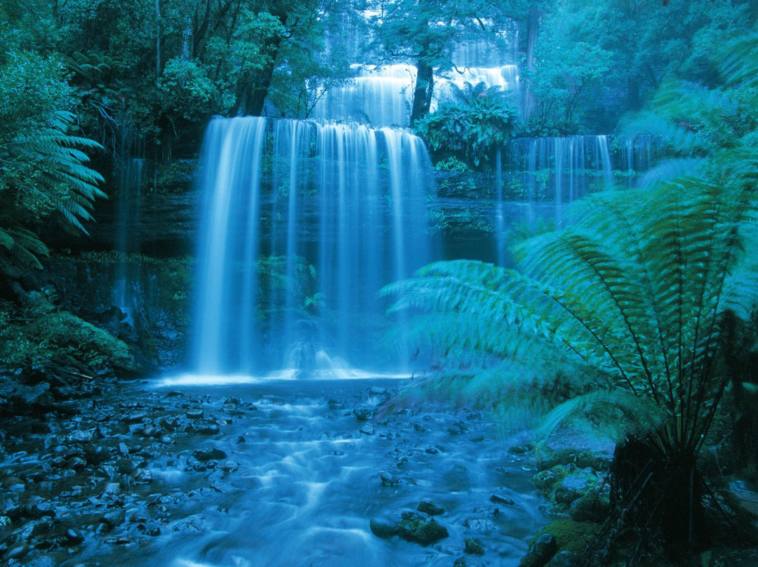 VIP Tours Tasmania - Tours-索雷尔必去景点