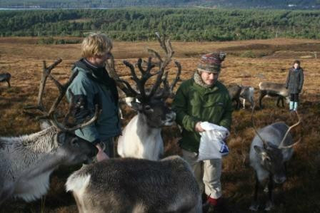 Cairngorm Reindeer Herd-Glenmore必去景点