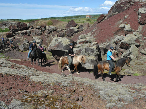 Reykjavik Riding-雷克雅未克必去景点