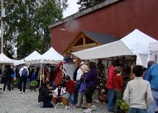 Artisans Open Air Market-塔尔基特纳必去景点