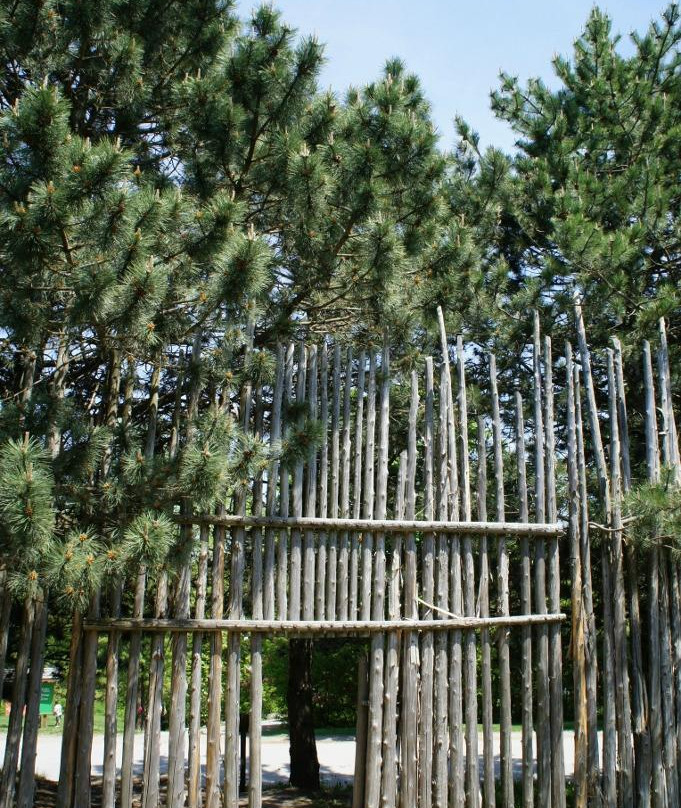 Crawford Lake Conservation Area景点图片