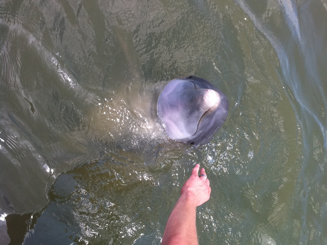 UnReel Expeditions-萨凡纳必去景点