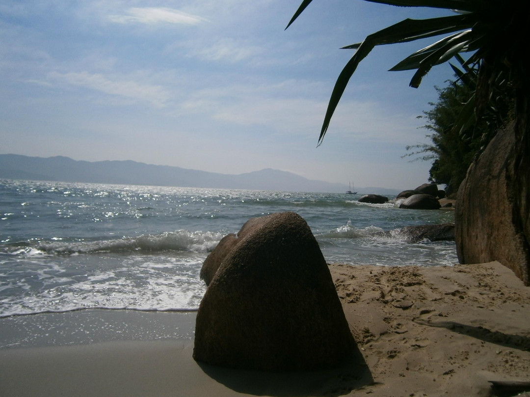 Daniela's Beach-弗洛里亚诺波利斯必去景点