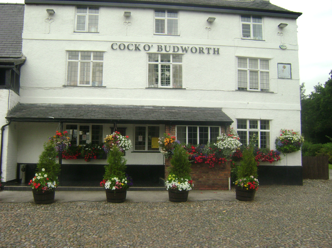 The Cock at Budworth