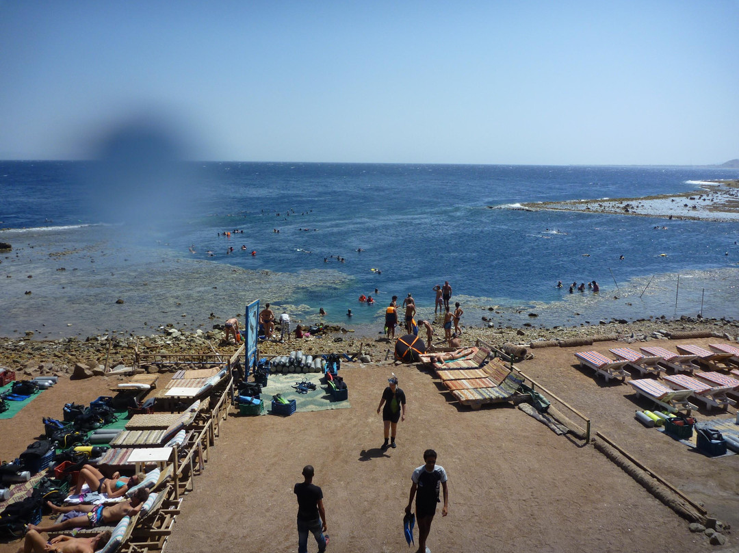 达哈卜潜水中心-达哈卜必去景点