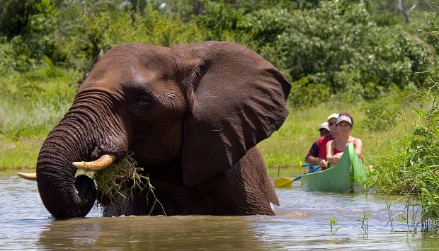 Journey Into Africa Tours and Safaris - Day Tours-比勒陀利亚必去景点