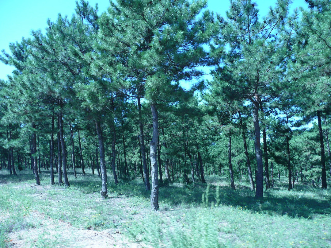 牛河梁红山文化遗址-凌源市必去景点