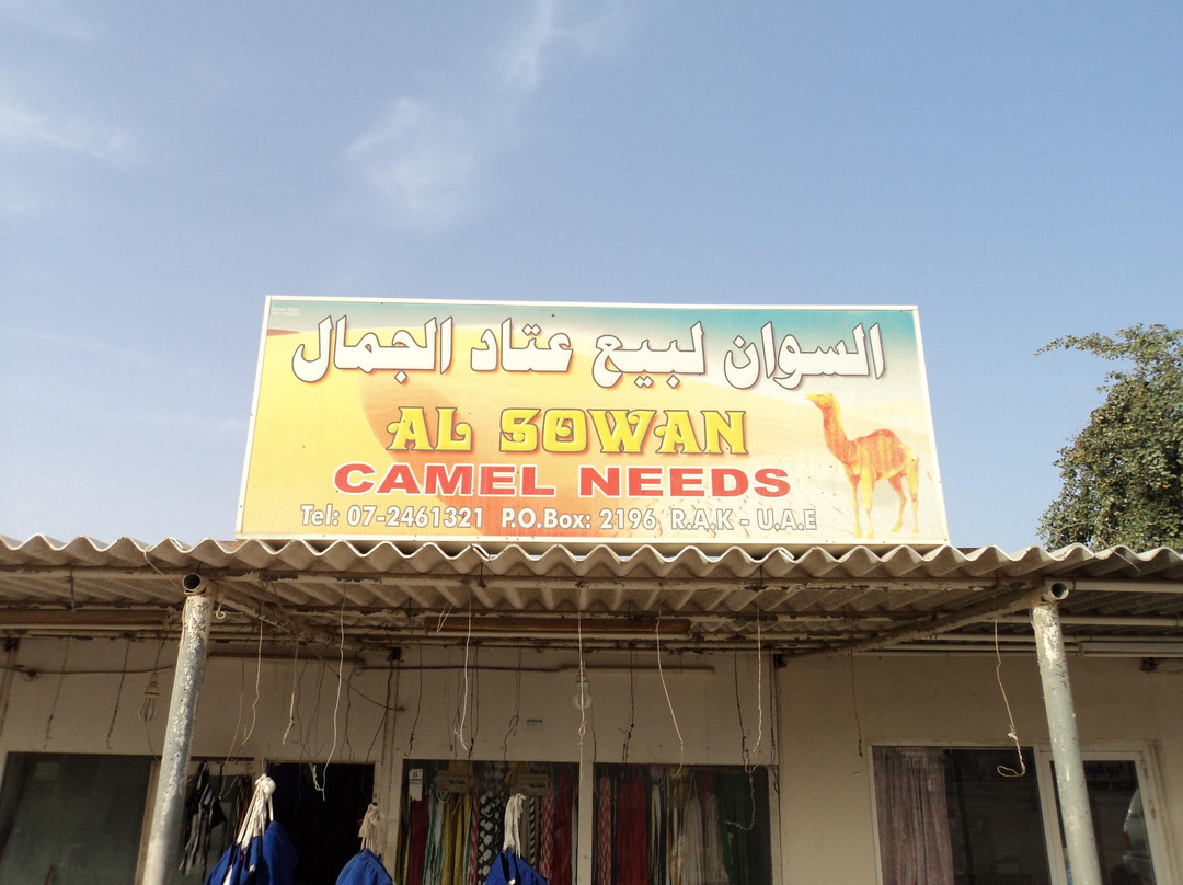 Al Sawan Camel Track景点图片