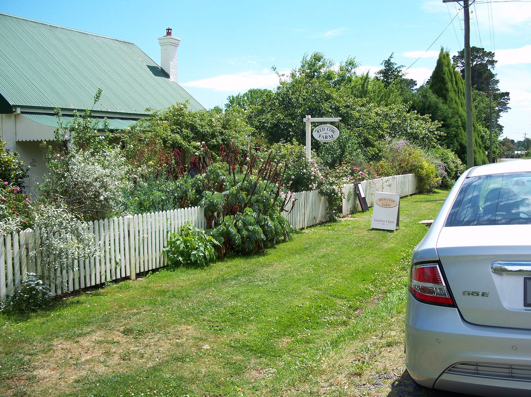 Red Cow Farm - Open Garden-Sutton Forest必去景点