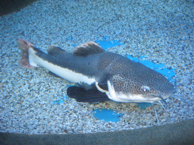 富国海底世界-北京市必去景点