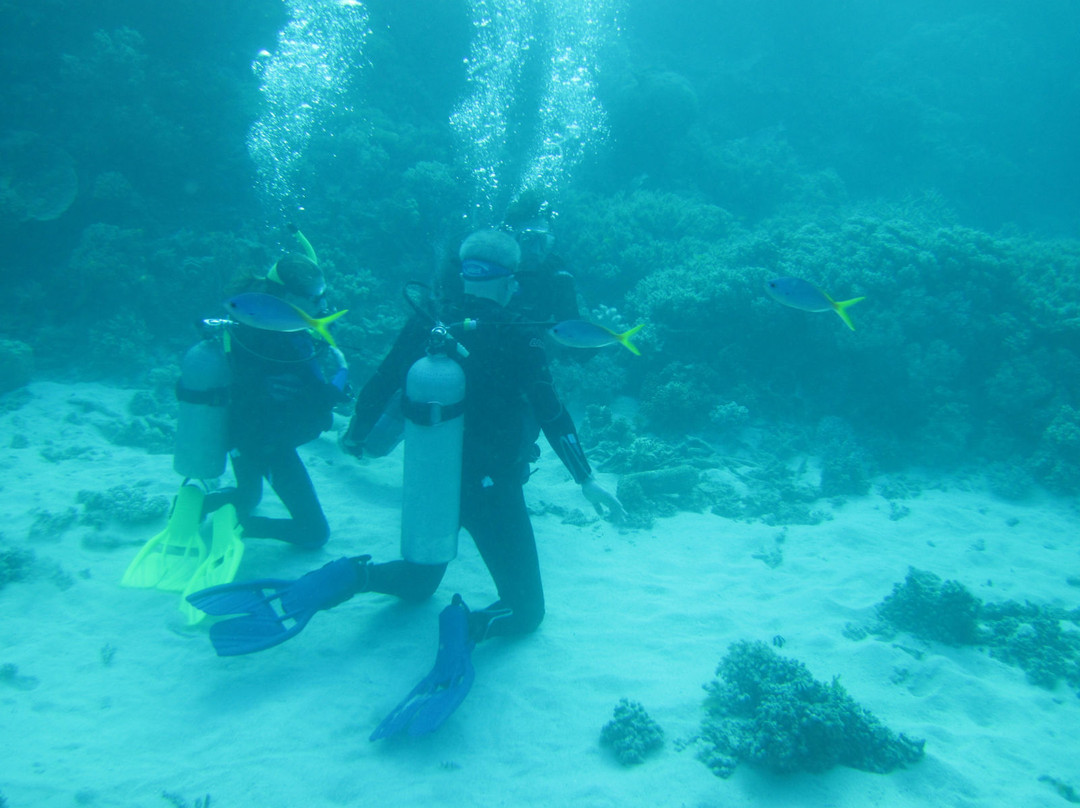 Reef Experience-凯恩斯必去景点