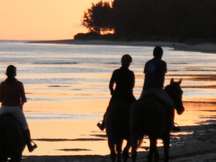 HORSE RIDING RIAMBEL- Centre Equestre De Riambel-Riambel必去景点