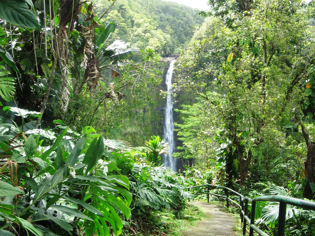 阿卡卡瀑布州立公园-希洛必去景点