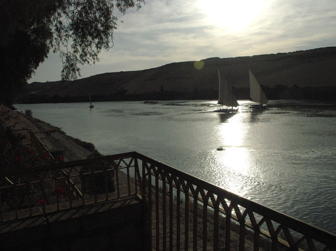 Aswan Botanical Garden-亚斯文必去景点
