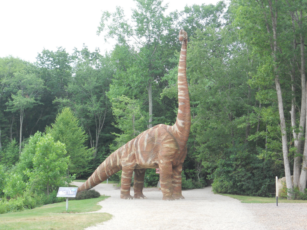 Oakdale旅游攻略图片