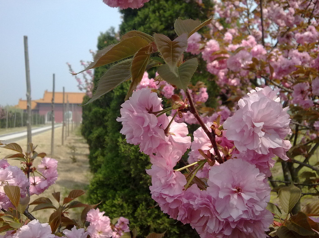 明祖陵景点图片