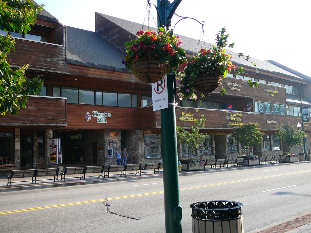 Mountain Mall-盖林柏格必去景点