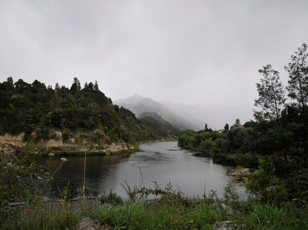 Whanganui River-旺加努伊必去景点
