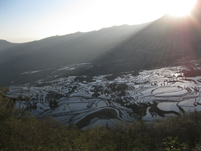 哈尼梯田景点图片