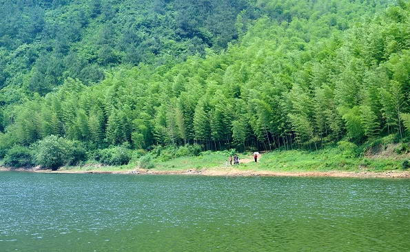 宜兴竹海景点图片