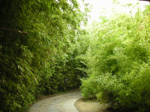 大观园-北京市必去景点